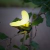 Szolár dekoráció csipesszel - katica, pillangó, méhecske - 11 x 6,5 x 10 cm - fehér LED