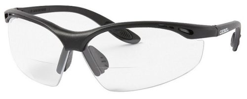 Munkavédelmi szemüveg READER - átlátszó, +2,0 dioptria